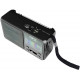 Radio de panel solar de 6 Bandas, USB, MP3 Y Bluetooth MARCA QFX