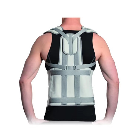 Osteoporosis en la columna torácica y lumbar MARCA ORTHOLIFE