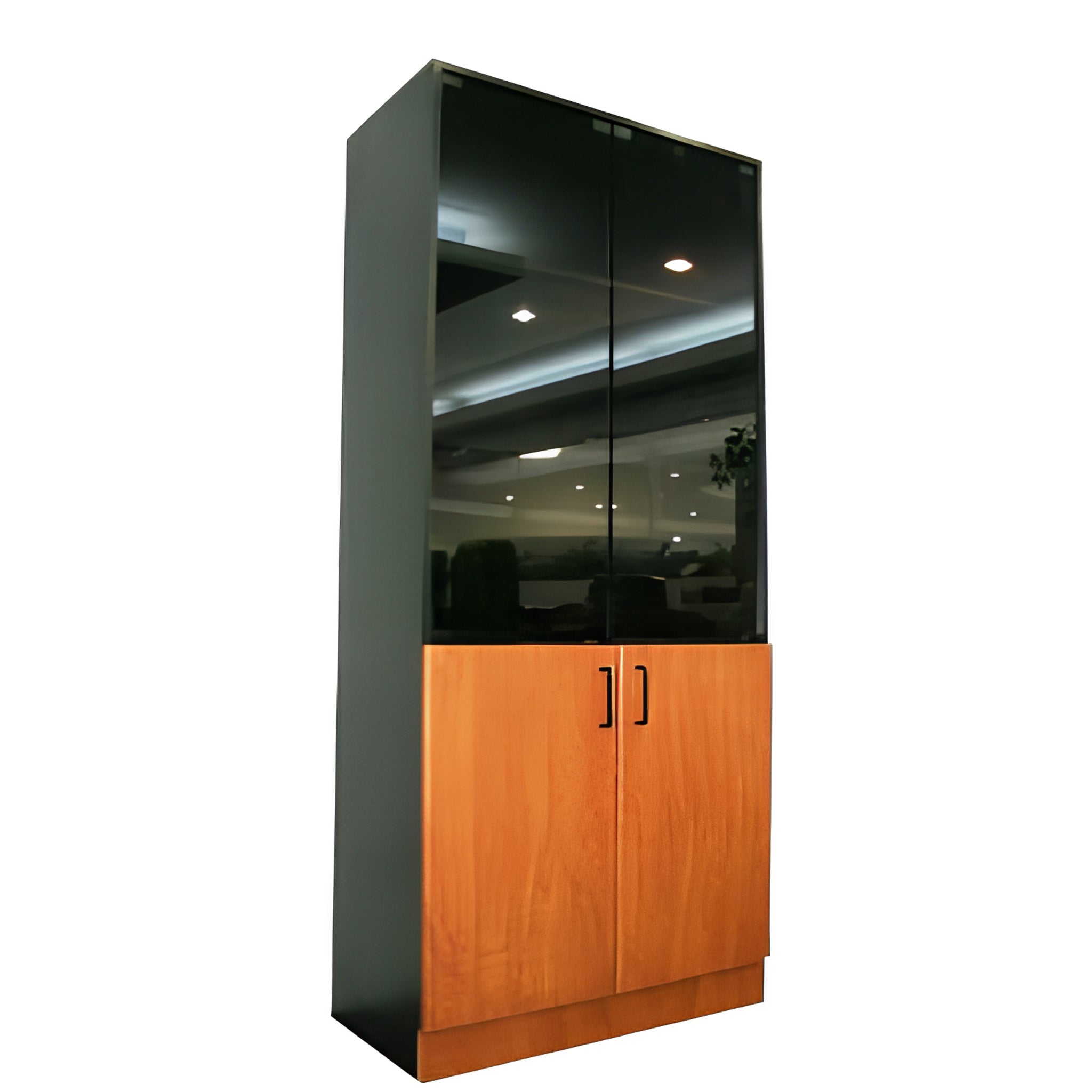 Librera con puertas y vidrio