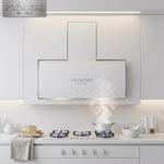 Extractor de olores moderno polystar